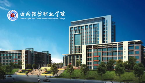 昆明奧遠科技 一站式數字化解決方案，賦能企業網絡建設與新媒體運營