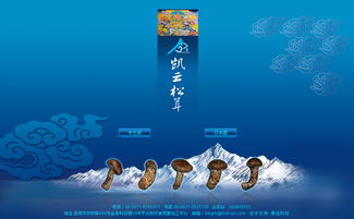 凱云科工貿與奧遠科技 以技術驅動，賦能昆明與云南的數字化轉型